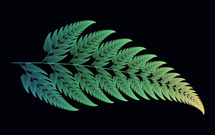 Barnsley fern